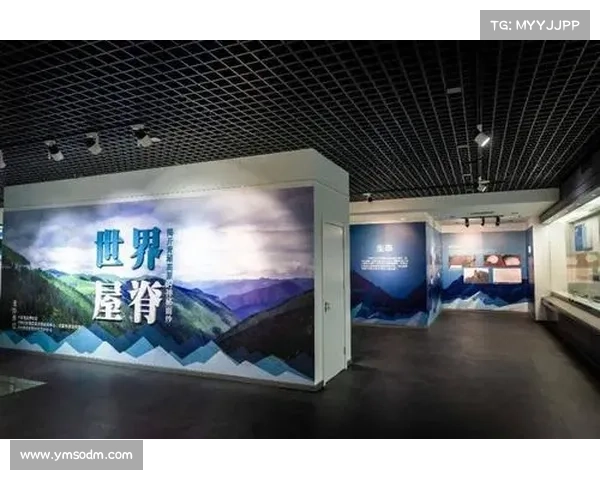 揭开东超神秘面纱 揭示其独特文化魅力与深远影响力